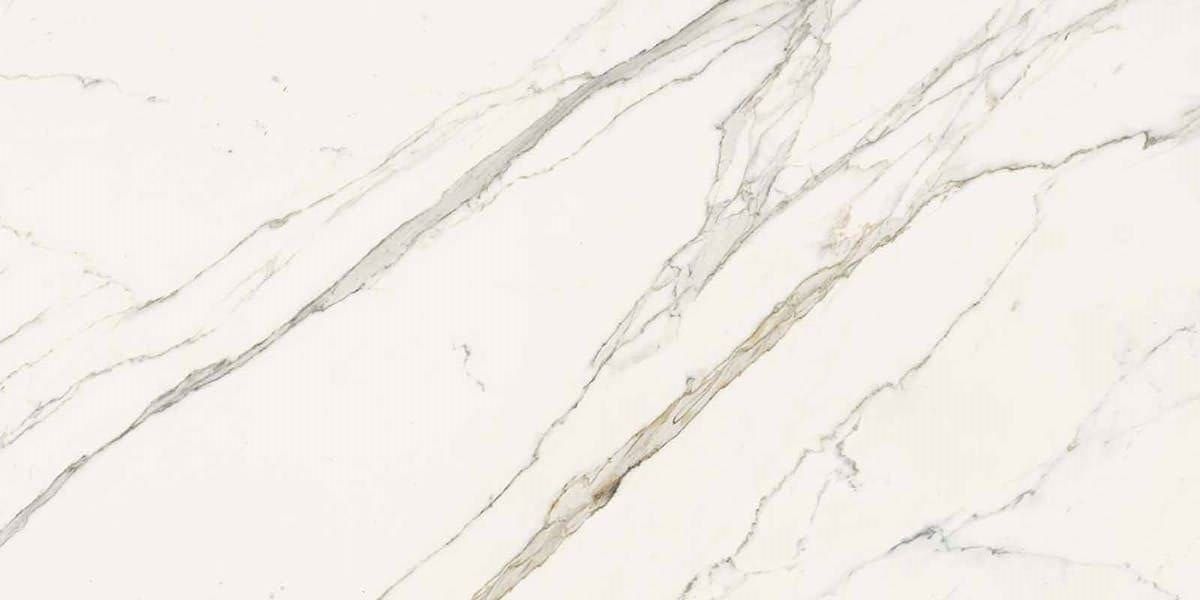 Calacatta Statuarietto Nat Rt. 60x120